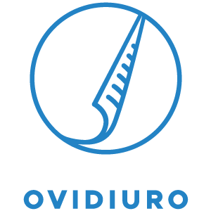 Asociația OvidiuRo Logo